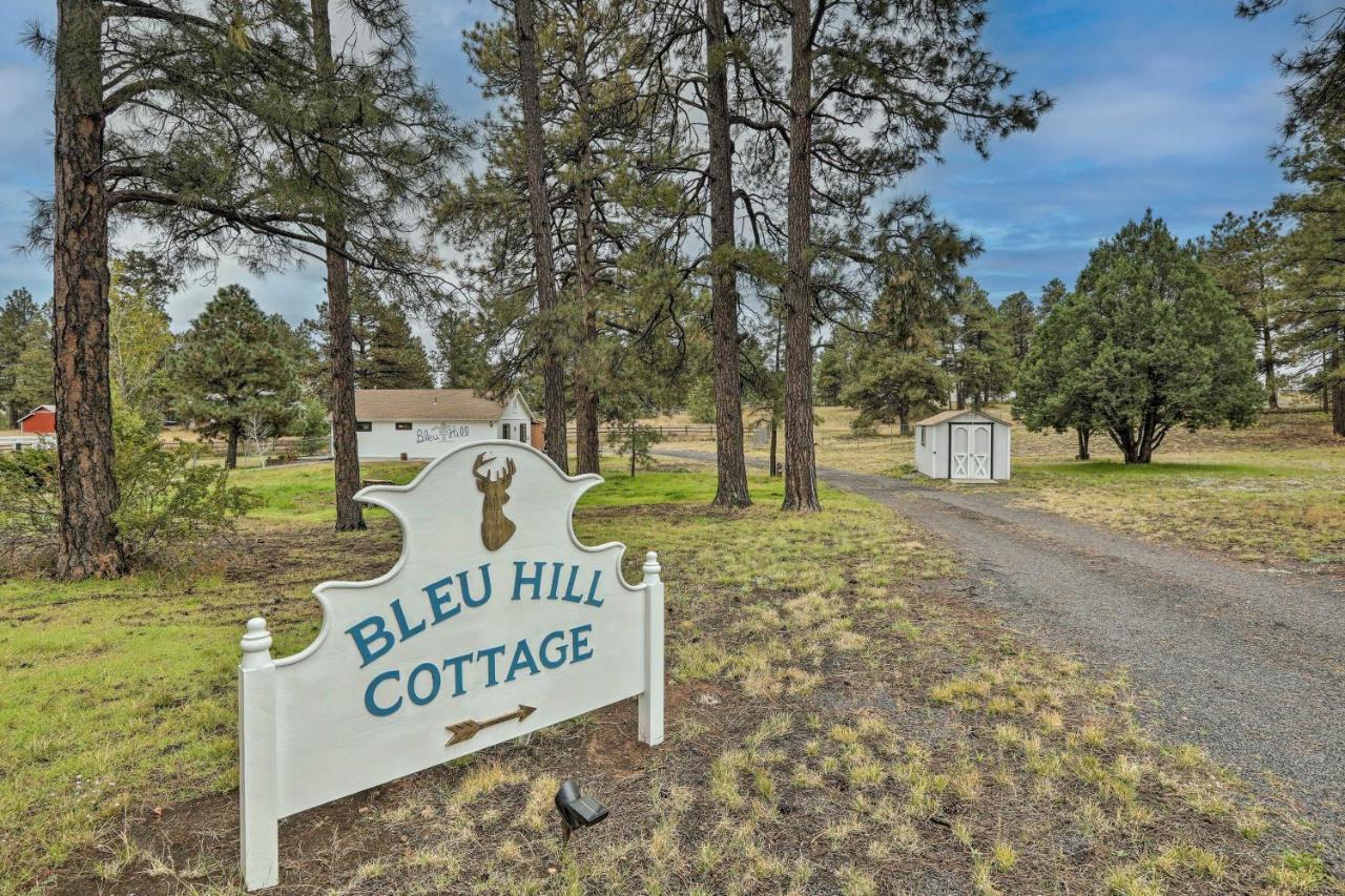 Ski Snow Bowl And Hike Cozy Flagstaff Cottage! Εξωτερικό φωτογραφία